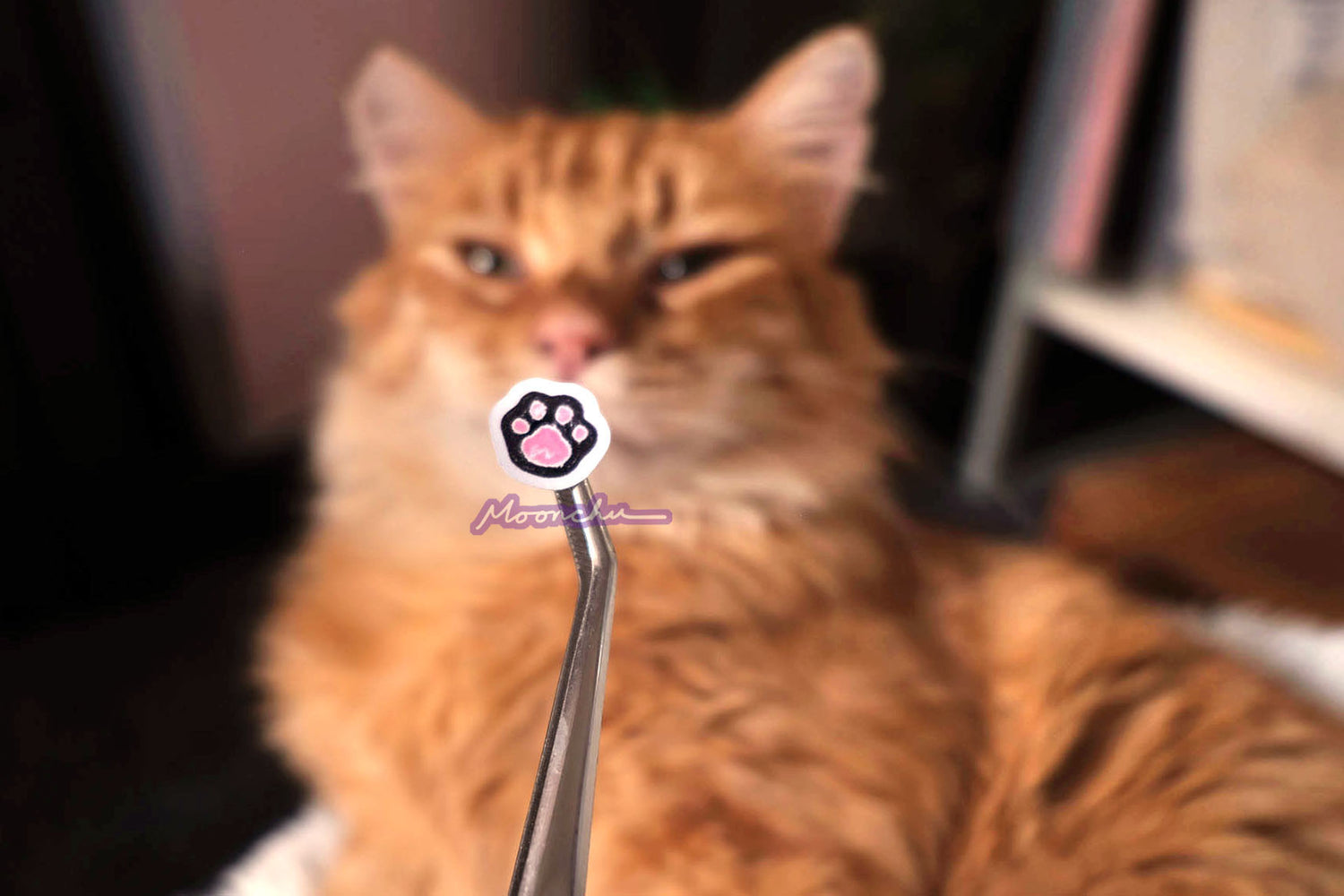 a teeny little black paw with pink toe beans sticker from the halloween black cat stationery sheet, held in front of my orange kitty's face haha