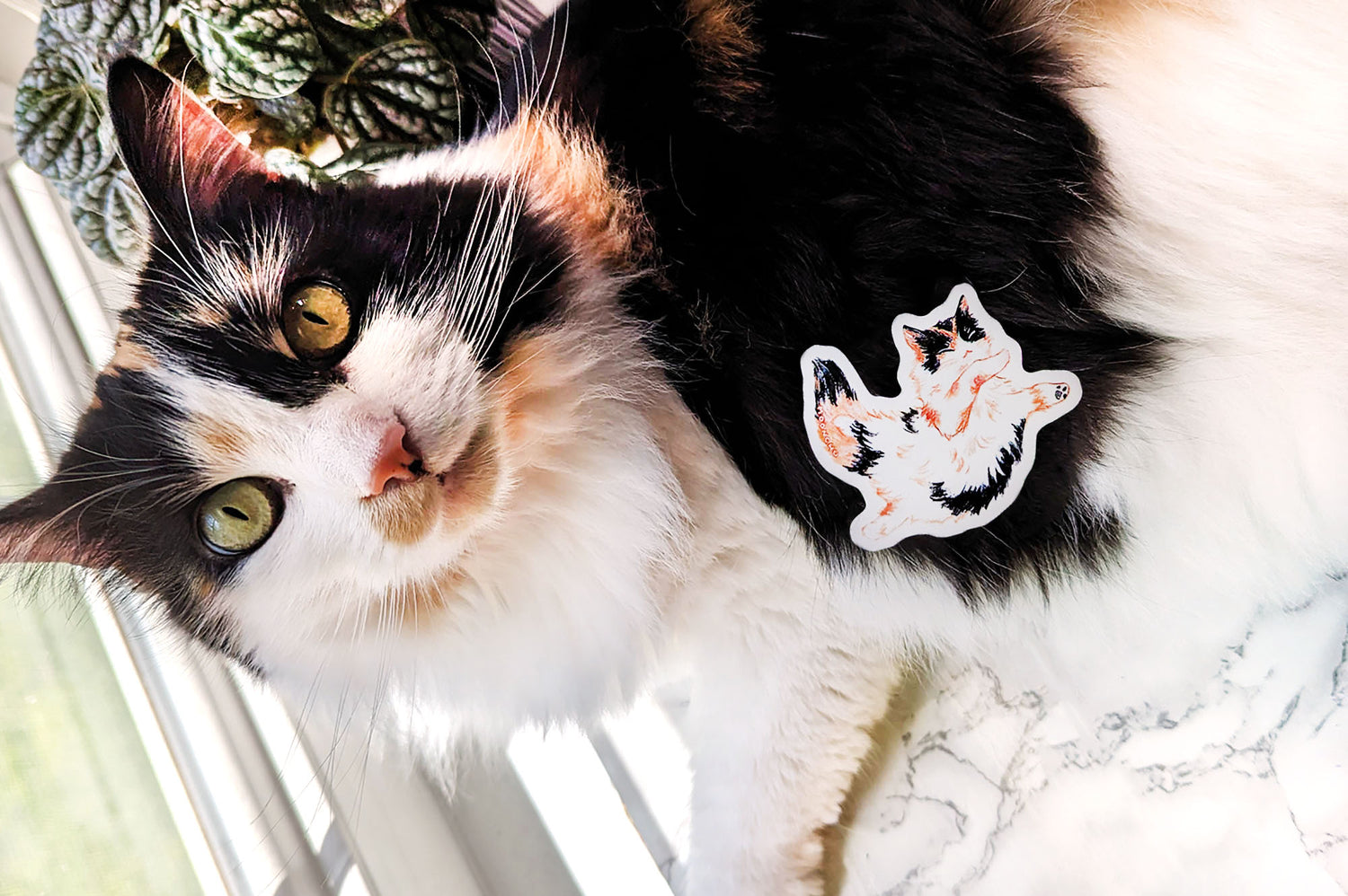 photo of a cute calico kitty vinyl sticker with the inspiration herself!