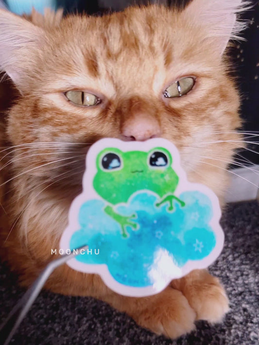 video showcasing green frog in cloud sticker being inspected by one of my cats. very glossy sticker!