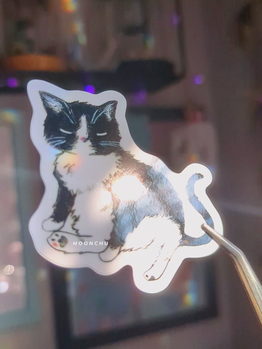 video depicts original sticker illustration by moonchu of an adorable tuxedo cat, mr. kitty. very glossy! also shows ember (her other cat) inspecting the sticker for quality control (jokes). he almost tries to nibble it at the end (don't worry, he didn't).