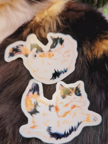 video showcases duo calico cat illustrations that moonchu made into cute vinyl stickers! both adorable cat stickers are lovingly placed upon the soft fur of her calico cat in real life (that inspired the paintings). thoroughly inspected and ready to be adopted by another cat lover!