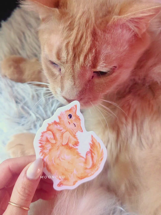a video showcasing three of the four original art cat illustration stickers by moonchu, featuring the ever adorable muse, her cat. the vibrant glossy vinyl stickers are all individual inspected by her cat, and then lovingly placed on his beautiful orange fur - shoe box kitty, winky cat, and regal cat. the end of the video pans to her cat's handsome face as a thank you for watching!
