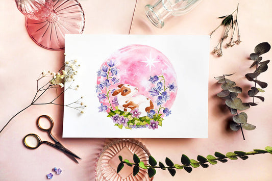 may's flower moon, cow calf art, A5 watercolour art print