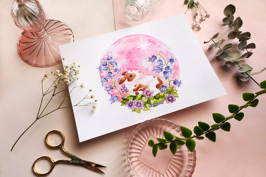may's flower moon, cow calf art, A5 watercolour art print